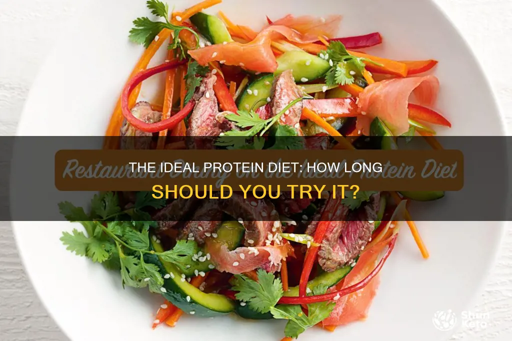 how long is the ideal protein diet
