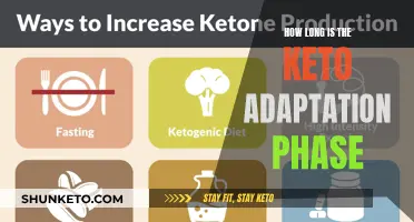 Keto Adaptation: How Long Does It Take?