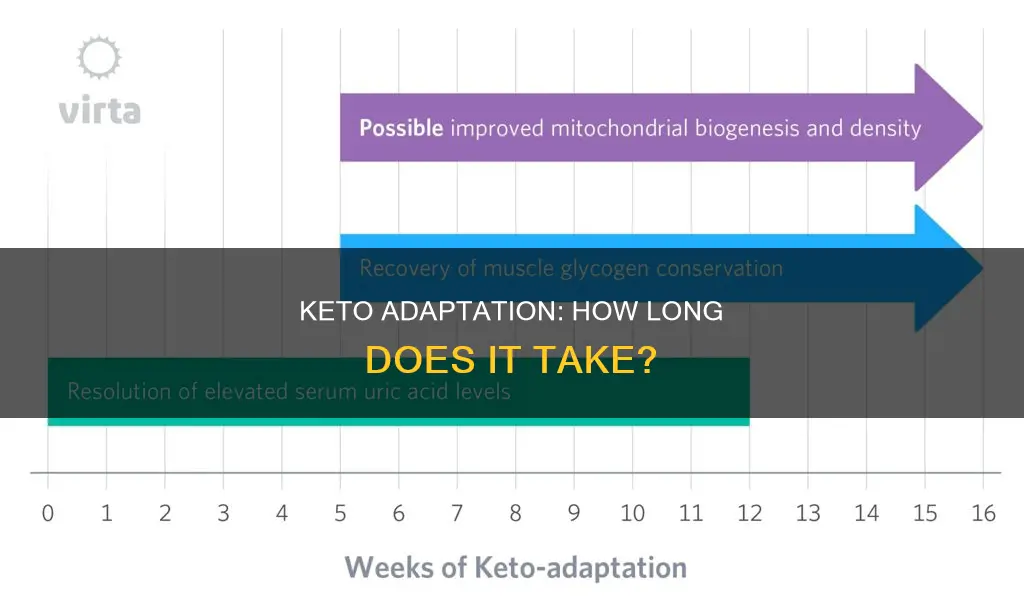 how long is the keto adaptation phase