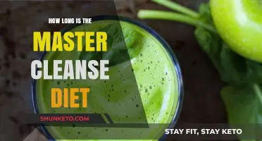 Master Cleanse Diet: A 10-Day Liquid Fasting Plan