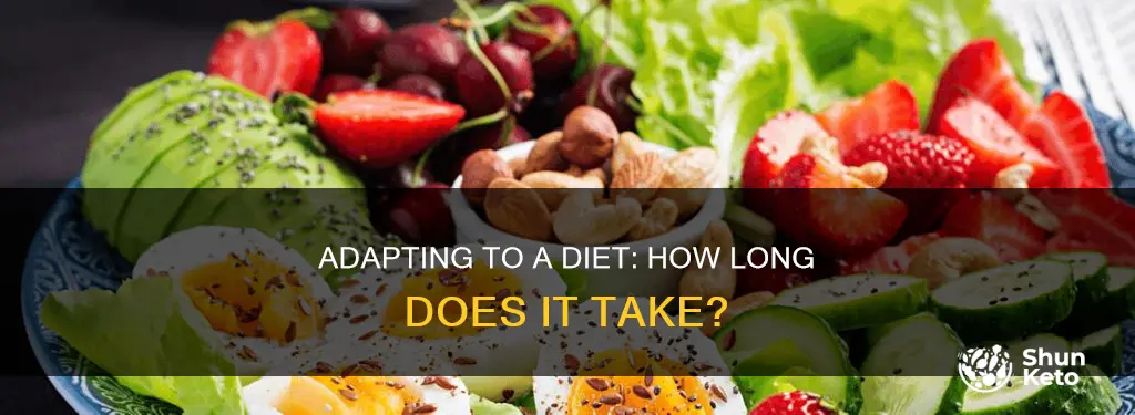how long it takes for body to adabt to diet