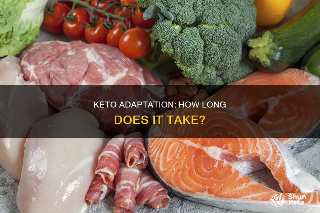 how long keto adapt