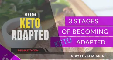 Keto Adaptation: How Long Does It Take?