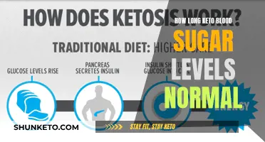 Keto Diet: Balancing Blood Sugar Levels