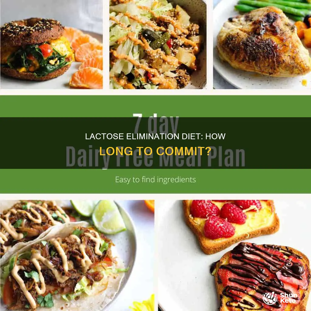 how long lactose elimination diet