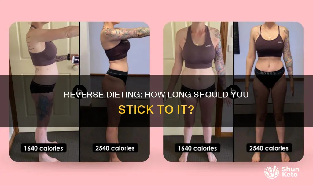 how long of a reverse diet should you stay on