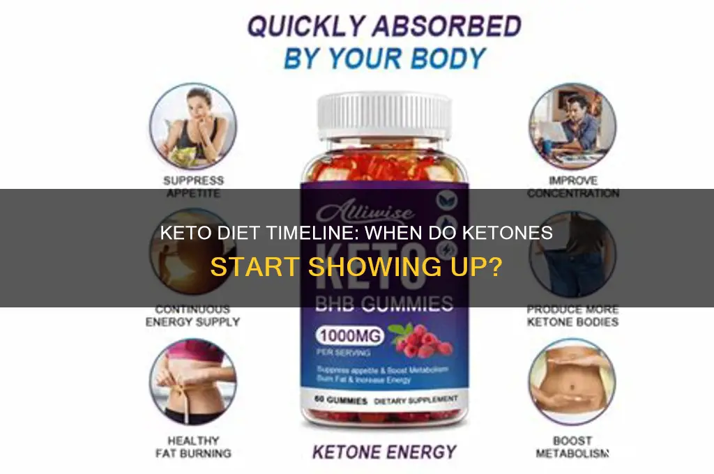 how long on a keto diet before i get stines