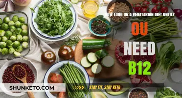 Vegetarian Diet: B12 Intake and Timing