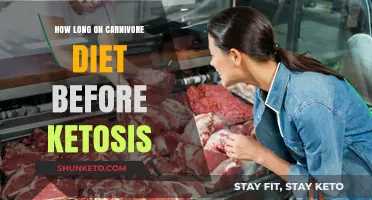 Carnivore Diet: When Does Ketosis Kick In?