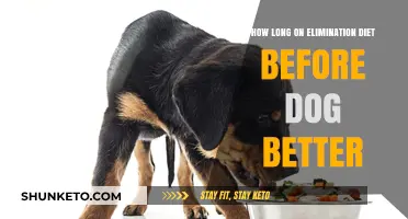 Elimination Diet for Dogs: How Long to See Results?