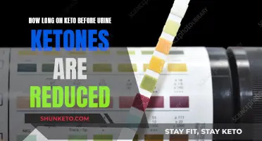 Keto Diet: Understanding Urine Ketones Reduction Timeline