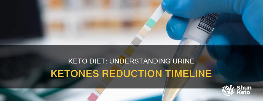 how long on keto before urine ketones are reduced