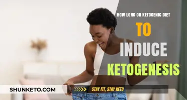 Ketogenic Diet: How Long to Enter Ketosis?