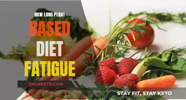 Plant-Based Diet: When Does Fatigue Set In?