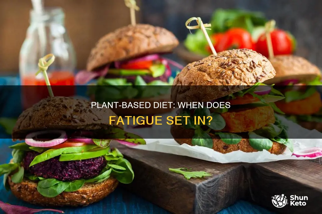 how long plant based diet fatigue