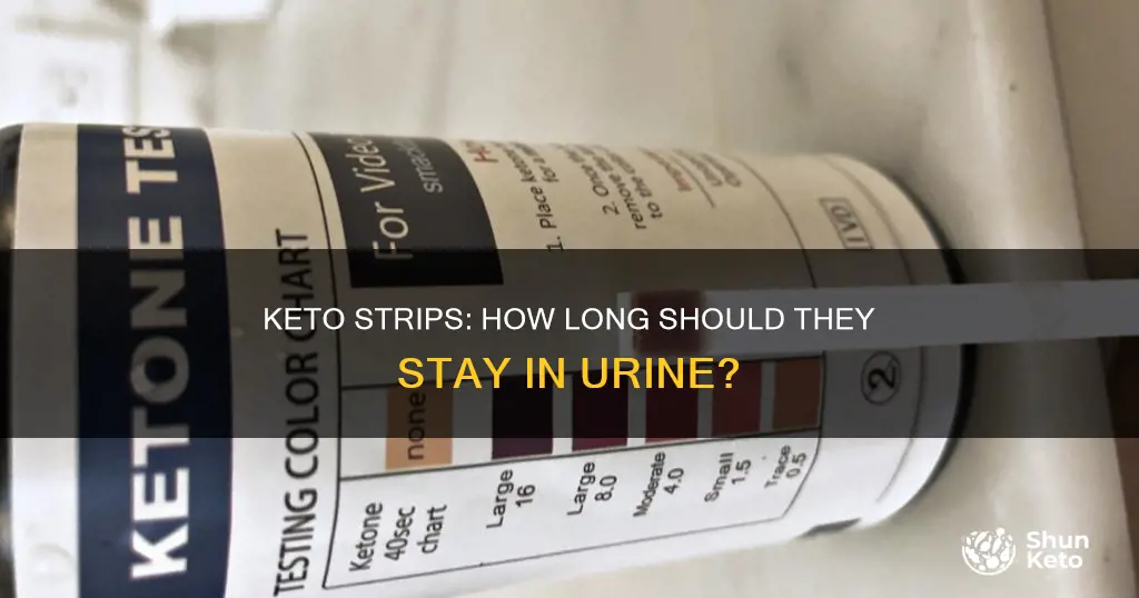 how long shoudl a keto strip be in urine