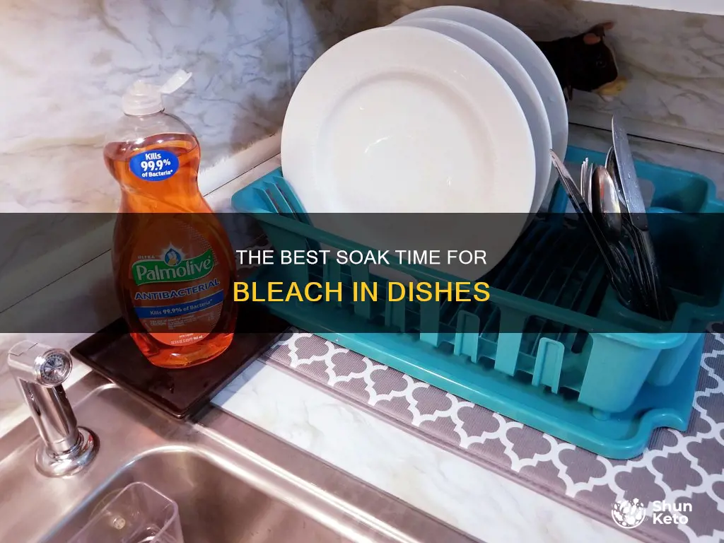 how long shoukd you ket bleach sit in dishes