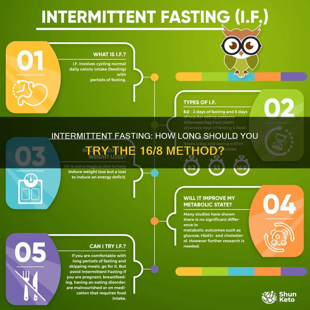 how long shoul you do a 16 8 intermediate diet