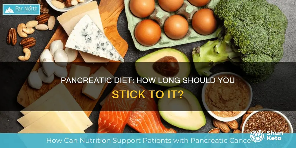 how long should i be on the panciatitc diet