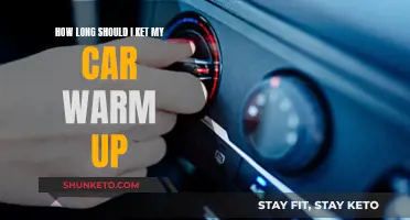 The Ideal Warm-up Time for Your Car's Engine