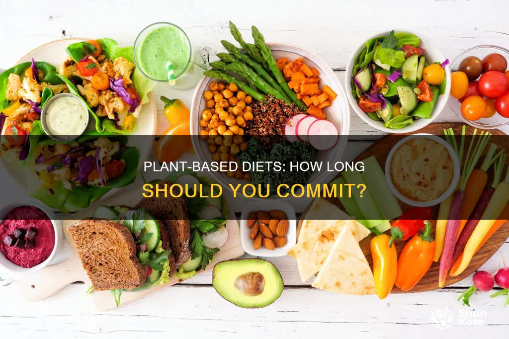 how long should plant-based diet used for