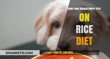 Rice Diet for Puppies: How Long is Too Long?