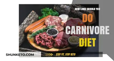 Carnivore Diet Duration: How Long Should You Commit?