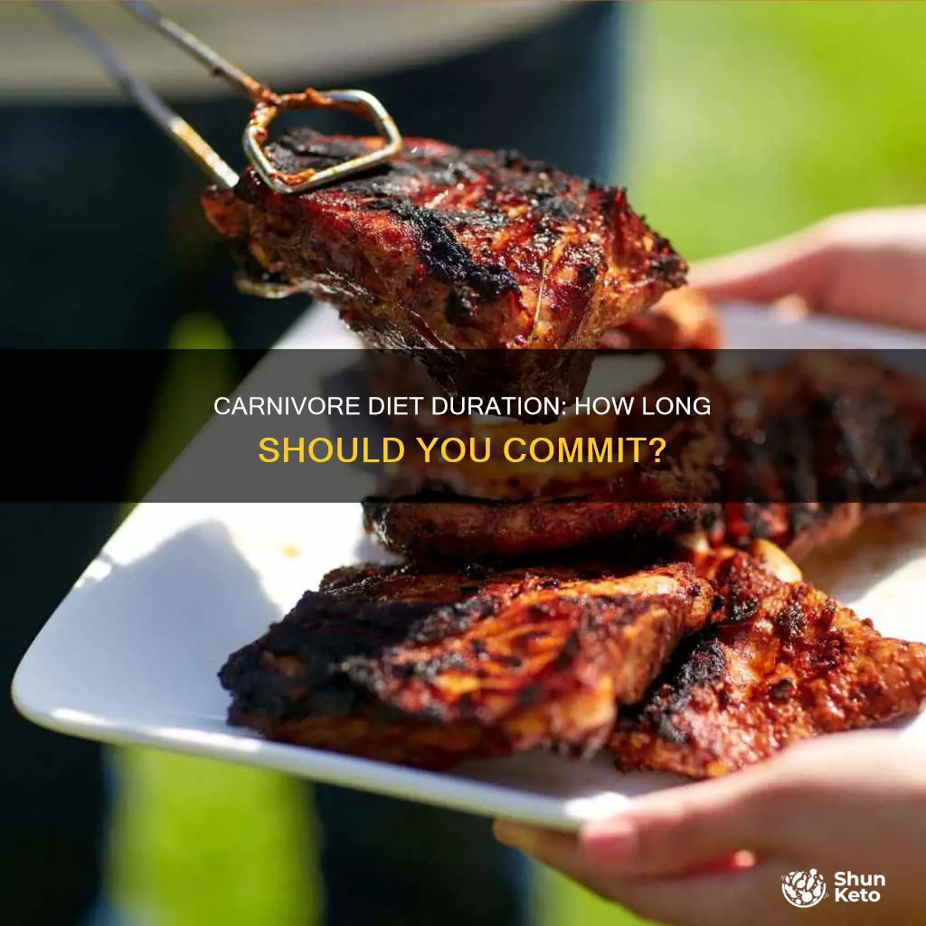 how long should you do carnivore diet