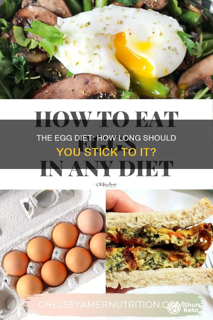 how long should you do the egg diet