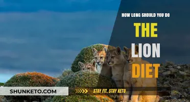 Lion Diet: How Long Should You Stick to It?