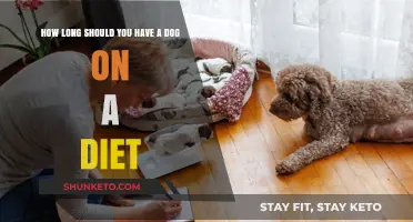 A Healthy Diet for Your Dog: How Long is Too Long?