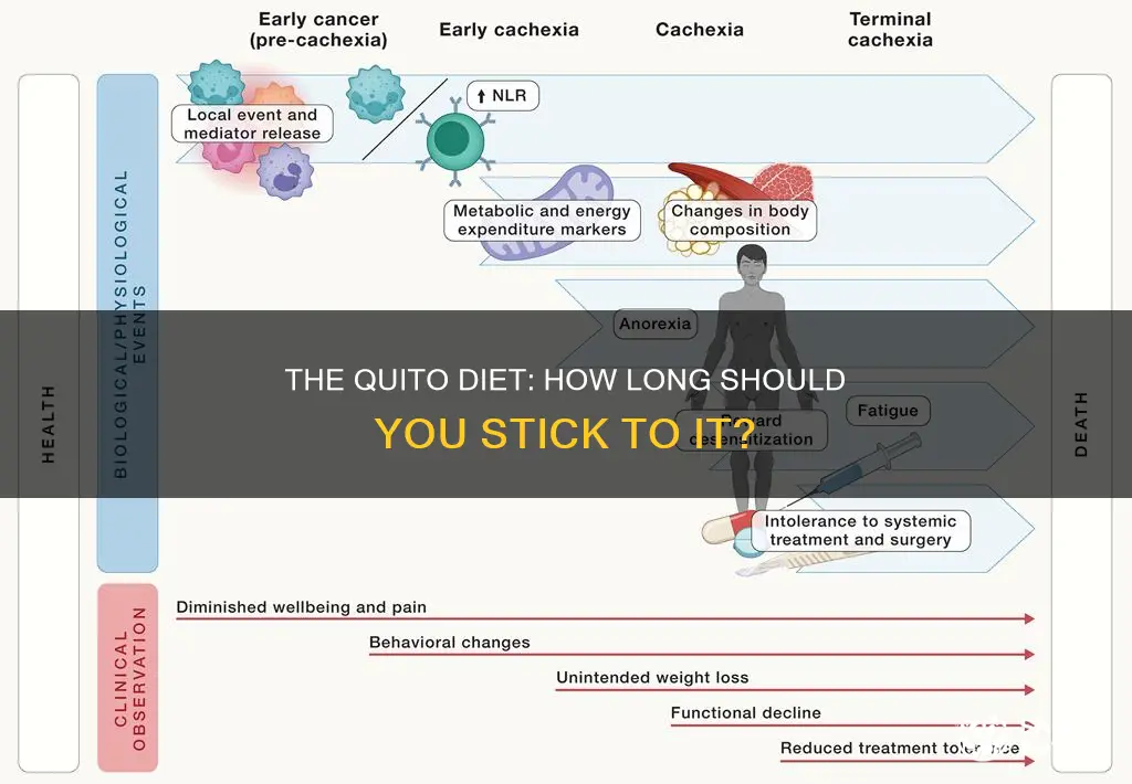 how long should you quito diet