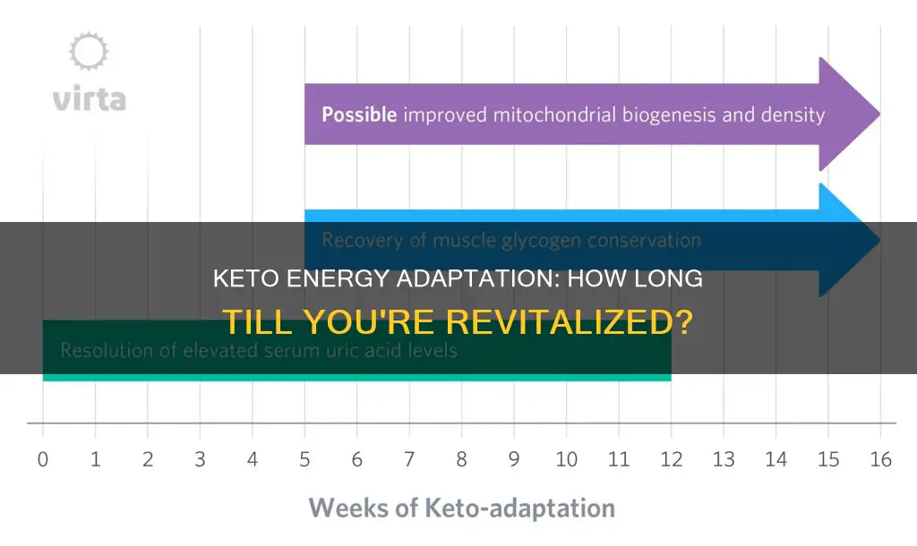 how long to adapt to keto and have energy