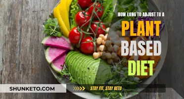 Adjusting to a Plant-Based Diet: What's the Timeline?