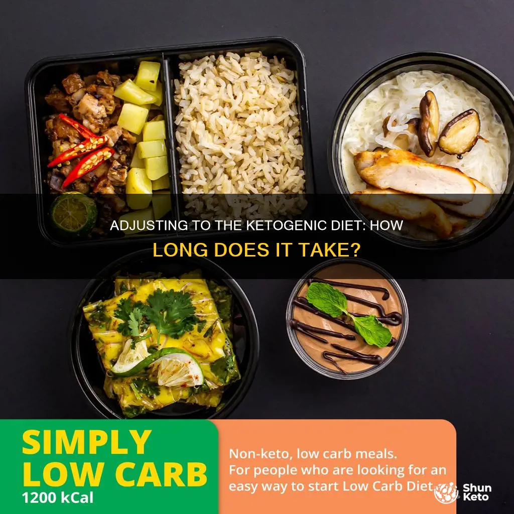 how long to adjust to ketogenic diet