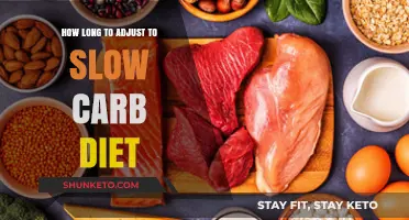 Adjusting to a Slow Carb Diet: How Long?