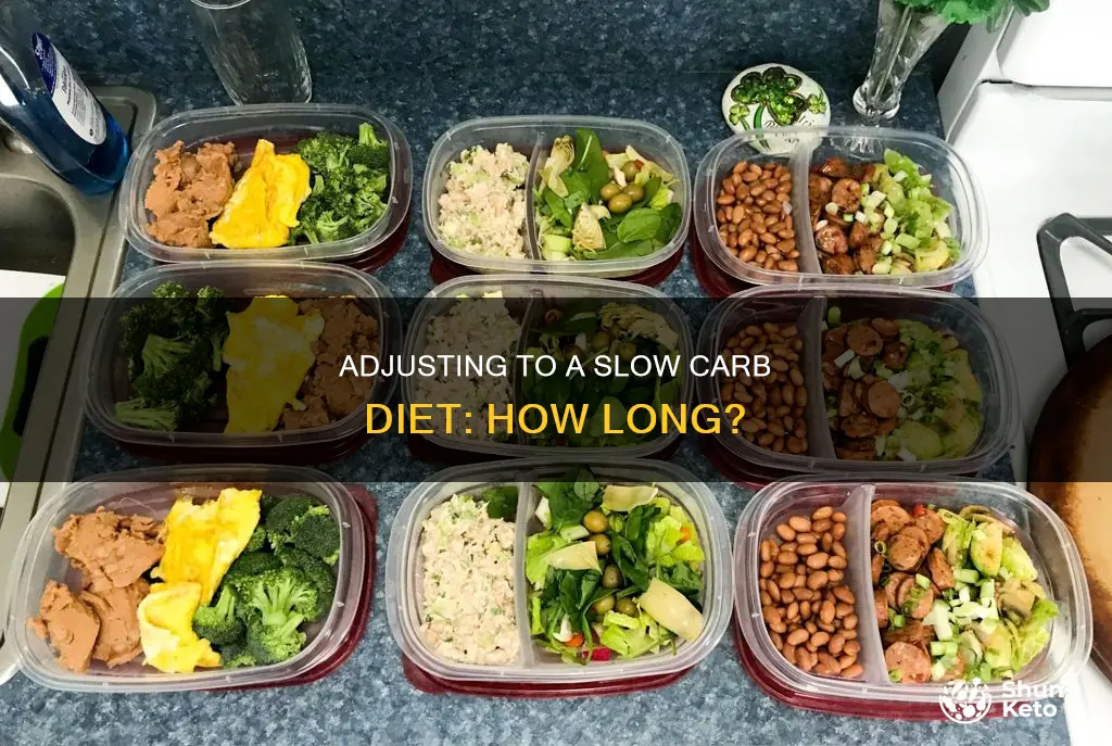 how long to adjust to slow carb diet