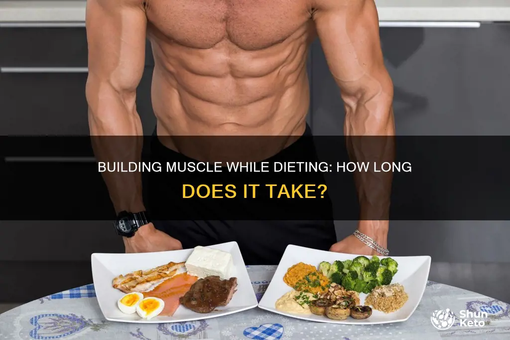 how long to build muscle while dieting