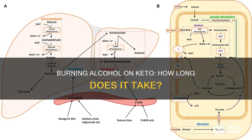 how long to burn alcohol on keto