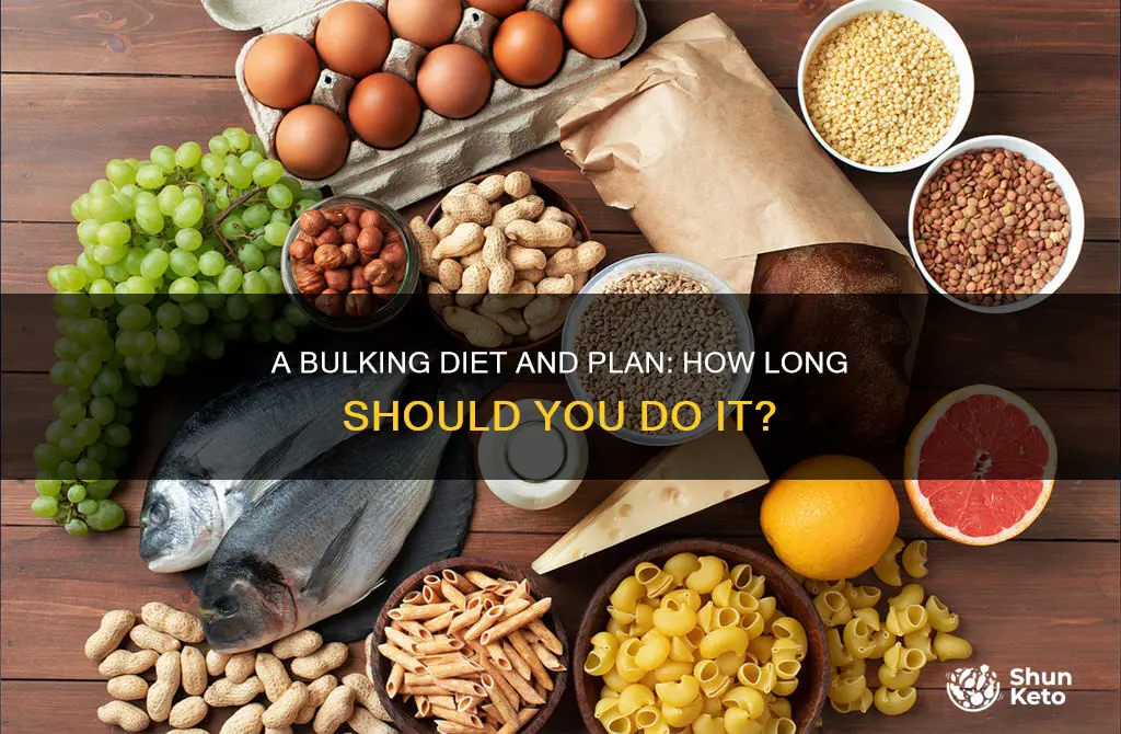 how long to do bulking diet and plan