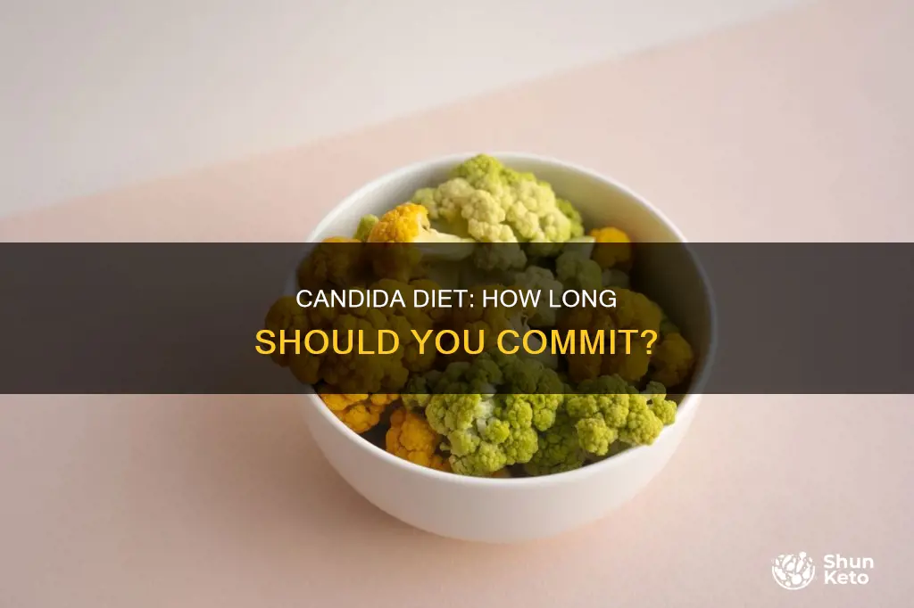 how long to do candida diet