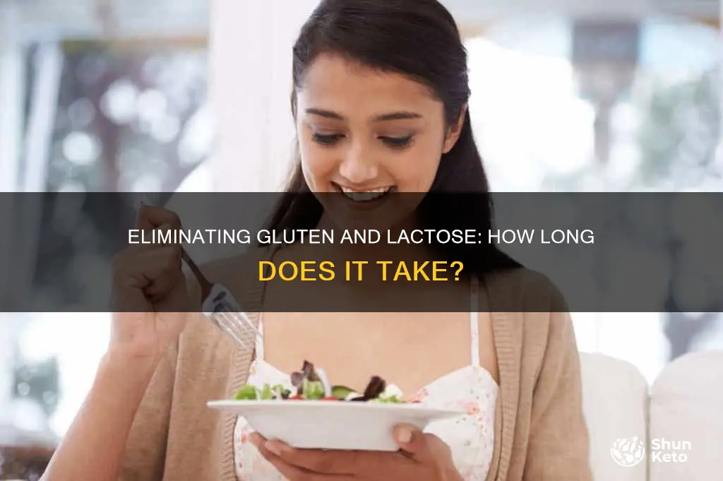 how long to eliminate gluetn and lactose from diet