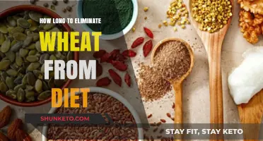Wheat-Free Diet: How Long to See Results?