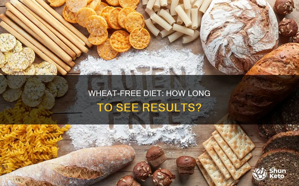 how long to eliminate wheat from diet