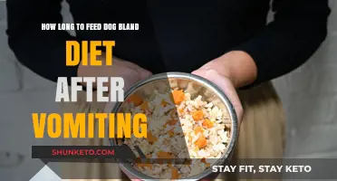 When to Transition Your Dog's Diet After Vomiting