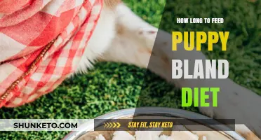 Puppy Bland Diet: How Long Should You Feed It?