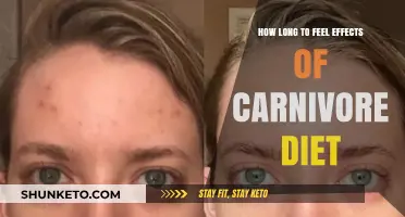 Carnivore Diet: How Long for Results?