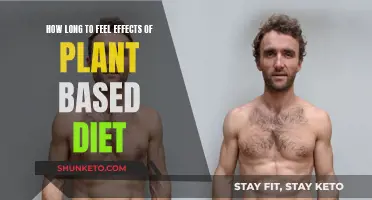 Plant-Based Diet: When to Expect Results and Benefits