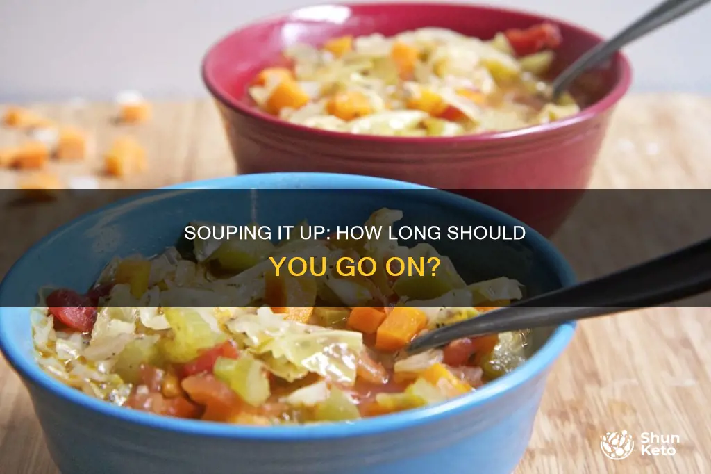 how long to go on a soup diet