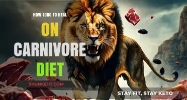 Healing with Carnivore: Time and Transformation